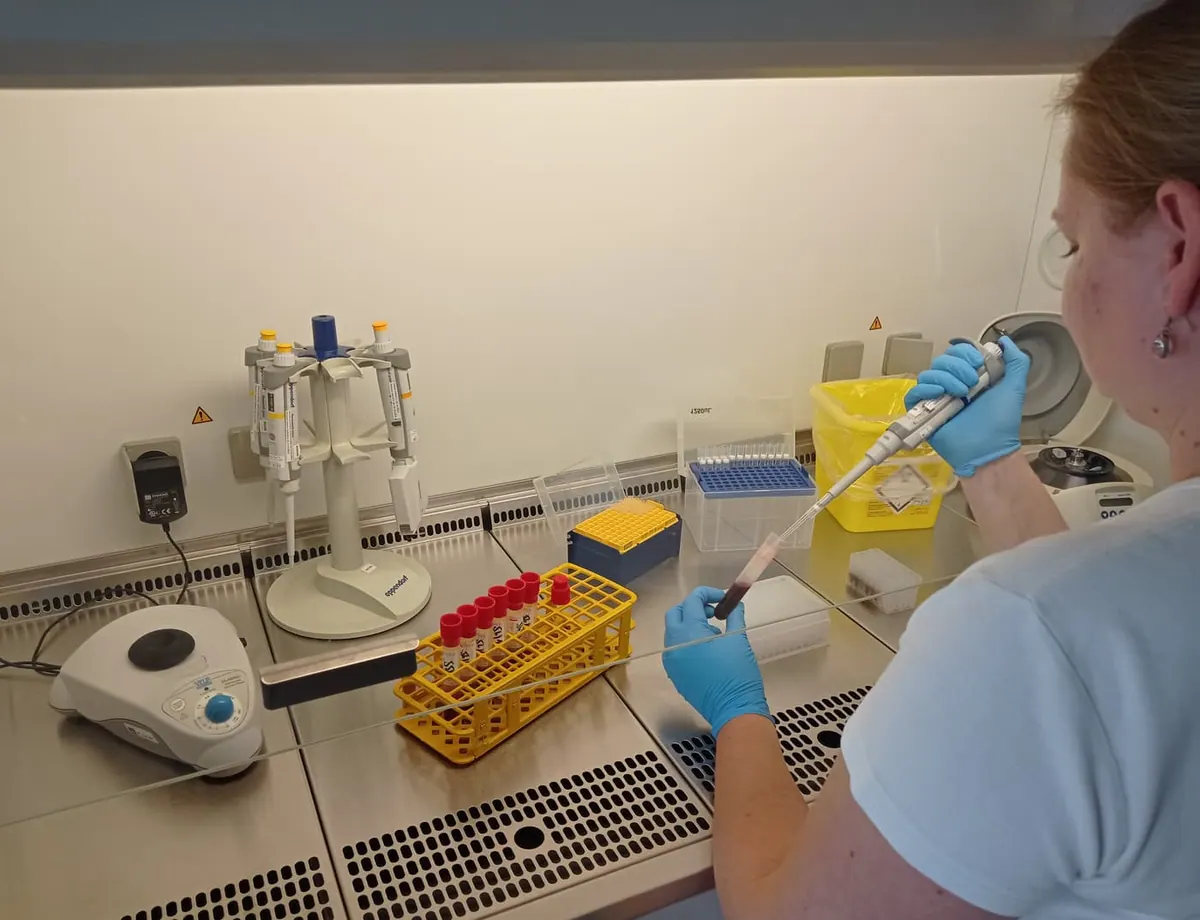 Laborantka pipetuje vzorky v laboratoři PCR